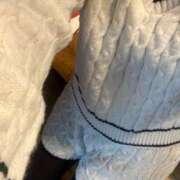 ヒメ日記 2025/02/19 10:16 投稿 まな [優良人妻店]セレブスタイル（山口～防府～萩）