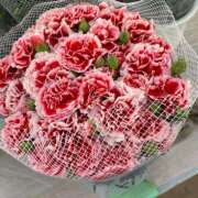 ヒメ日記 2025/05/09 08:10 投稿 まな [優良人妻店]セレブスタイル（山口～防府～萩）