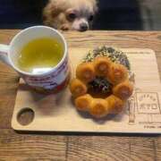 ヒメ日記 2025/05/22 06:43 投稿 まな [優良人妻店]セレブスタイル（山口～防府～萩）