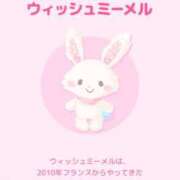 ヒメ日記 2025/09/11 19:05 投稿 まな [優良人妻店]セレブスタイル（山口～防府～萩）