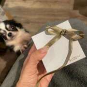 ヒメ日記 2025/12/22 01:06 投稿 まな [優良人妻店]セレブスタイル（山口～防府～萩）