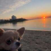 ヒメ日記 2026/01/01 09:43 投稿 まな [優良人妻店]セレブスタイル（山口～防府～萩）