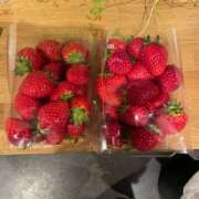 ヒメ日記 2026/01/15 23:52 投稿 まな [優良人妻店]セレブスタイル（山口～防府～萩）