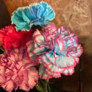 ヒメ日記 2026/04/08 22:04 投稿 まな [優良人妻店]セレブスタイル（山口～防府～萩）