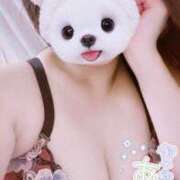 ヒメ日記 2026/02/17 12:47 投稿 紬 ROYAL　GRACE