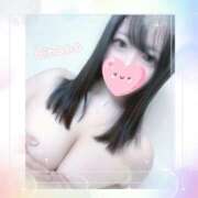 ひなの おはよう😽.*･ﾟ 立川ちゃんこ