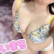 ヒメ日記 2026/02/26 13:45 投稿 藤井いまる 池袋3P複数プレイ専門店 ハーレム