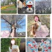 ヒメ日記 2026/04/04 11:47 投稿 の　あ ママれもん錦糸町店