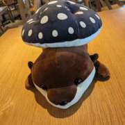 ヒメ日記 2025/02/22 00:47 投稿 とあ ラブコレ