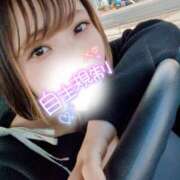 ヒメ日記 2025/03/17 10:00 投稿 とあ ラブコレ