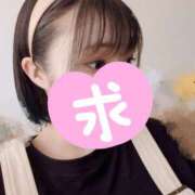 ヒメ日記 2025/04/25 10:30 投稿 とあ ラブコレ