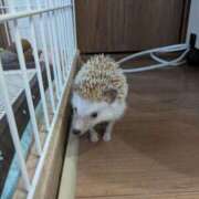 ヒメ日記 2025/05/04 18:34 投稿 とあ ラブコレ