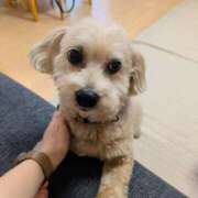 ヒメ日記 2025/10/10 09:58 投稿 とあ ラブコレ