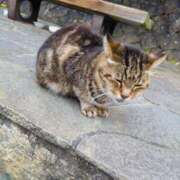 ヒメ日記 2025/11/14 11:55 投稿 とあ ラブコレ