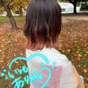 ヒメ日記 2025/12/02 23:49 投稿 とあ ラブコレ