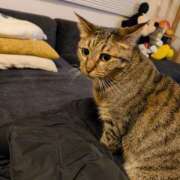 ヒメ日記 2026/01/05 00:44 投稿 とあ ラブコレ