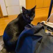 ヒメ日記 2026/01/09 21:30 投稿 とあ ラブコレ