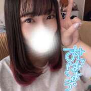 ヒメ日記 2026/06/11 12:10 投稿 とあ ラブコレ