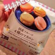 ヒメ日記 2025/04/20 17:34 投稿 いずみ（花嫁） Yシャツと私