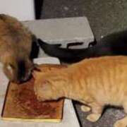 ヒメ日記 2025/01/22 09:58 投稿 るい☆興奮MAXボディー ジャックと豆の木