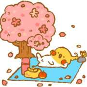 ヒメ日記 2025/03/26 12:15 投稿 るい☆興奮MAXボディー ジャックと豆の木