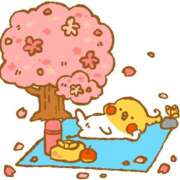 ヒメ日記 2025/03/27 15:03 投稿 るい☆興奮MAXボディー ジャックと豆の木