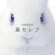 ヒメ日記 2025/03/31 18:01 投稿 るい☆興奮MAXボディー ジャックと豆の木