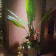 ヒメ日記 2025/04/26 21:37 投稿 ちか 横浜モンデミーテ（シンデレラグループ）