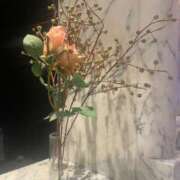 ヒメ日記 2025/07/22 22:11 投稿 ちか 横浜モンデミーテ（シンデレラグループ）