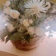 ヒメ日記 2025/09/05 01:41 投稿 ちか 横浜モンデミーテ（シンデレラグループ）