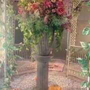 ヒメ日記 2025/11/07 10:23 投稿 ちか 横浜モンデミーテ（シンデレラグループ）