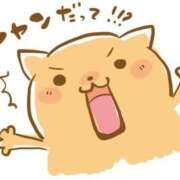 ヒメ日記 2025/07/09 10:06 投稿 えま 甘えるの大好き！！ ウエスト・コム