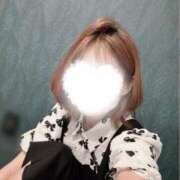 ヒメ日記 2025/08/19 12:46 投稿 えま 甘えるの大好き！！ ウエスト・コム