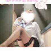 ヒメ日記 2025/12/29 08:19 投稿 えま 甘えるの大好き！！ ウエスト・コム