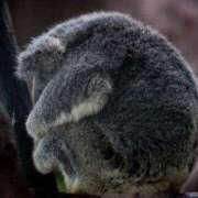 ヒメ日記 2026/04/06 18:26 投稿 ことね 立川女学園