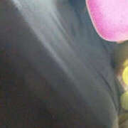 ヒメ日記 2026/03/27 16:12 投稿 長澤エル 鬼イカセてくれないドス◯ベお姉さん