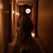 ヒメ日記 2024/12/28 09:57 投稿 白咲ふうかエグゼクティブ -NEO-皇帝別館（中央街）