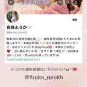 ヒメ日記 2025/06/16 15:57 投稿 白咲ふうかエグゼクティブ -NEO-皇帝別館（中央街）