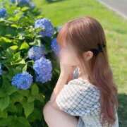 ヒメ日記 2026/04/25 12:49 投稿 白咲ふうかエグゼクティブ -NEO-皇帝別館（中央街）