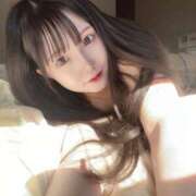 はくちゃん 残り今日だけ⚠️ 風神会館新宿店