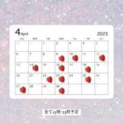 ヒメ日記 2025/04/11 18:33 投稿 ゆめか スパーク日本橋