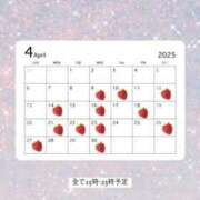 ヒメ日記 2025/04/18 14:27 投稿 ゆめか スパーク日本橋