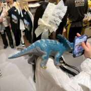 ヒメ日記 2025/11/17 13:06 投稿 ゆめか スパーク日本橋