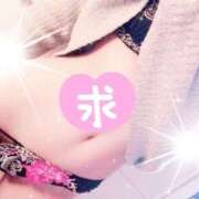 ヒメ日記 2026/02/22 06:00 投稿 なな 人妻コレクション（厚木）