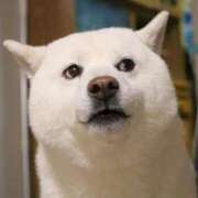 ヒメ日記 2025/09/18 04:20 投稿 みか 人妻コレクション（厚木）