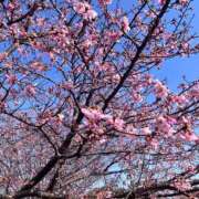 ヒメ日記 2026/03/02 14:58 投稿 Mami Nonaka ELEGANT－エレガント－