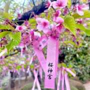 ヒメ日記 2026/03/21 16:11 投稿 Mami Nonaka ELEGANT－エレガント－