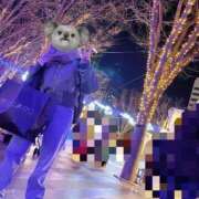 ヒメ日記 2024/12/25 17:04 投稿 さくら ナイスディ