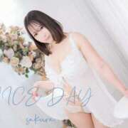 ヒメ日記 2025/02/27 14:40 投稿 さくら ナイスディ