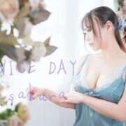 ヒメ日記 2025/04/29 07:01 投稿 さくら ナイスディ